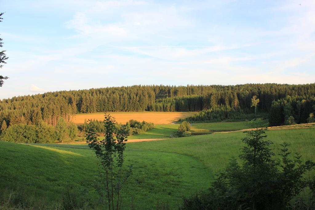 Marktleugast Landgasthof Haueis מראה חיצוני תמונה